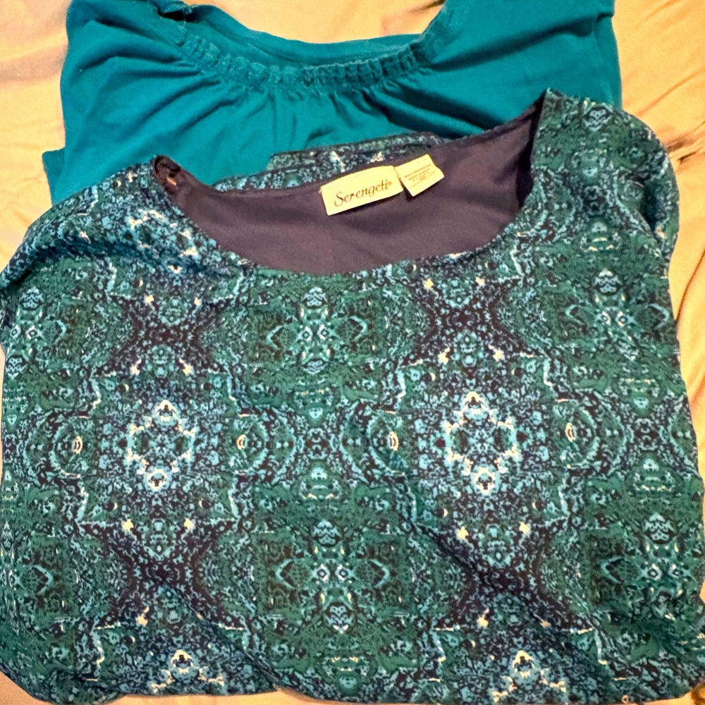 Bundled Two Blouses
